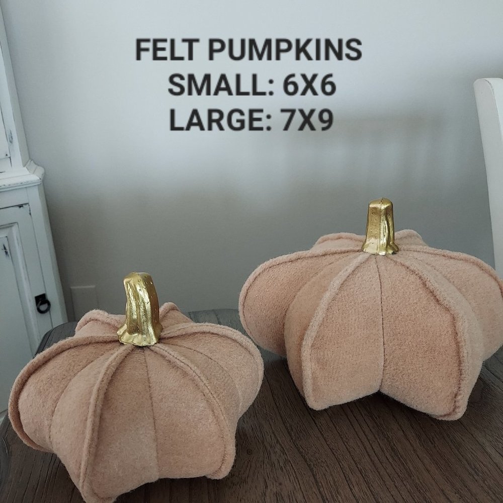 Fall/Halloween Pumpkin Decor (6)